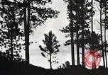 Image of Wildlife and nature and its destruction United States USA, 1925, second 26 stock footage video 65675025585