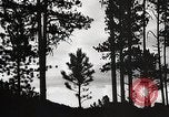 Image of Wildlife and nature and its destruction United States USA, 1925, second 27 stock footage video 65675025585