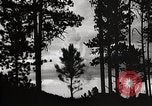 Image of Wildlife and nature and its destruction United States USA, 1925, second 28 stock footage video 65675025585