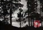Image of Wildlife and nature and its destruction United States USA, 1925, second 29 stock footage video 65675025585