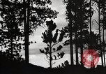 Image of Wildlife and nature and its destruction United States USA, 1925, second 30 stock footage video 65675025585