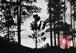 Image of Wildlife and nature and its destruction United States USA, 1925, second 32 stock footage video 65675025585