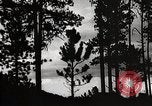 Image of Wildlife and nature and its destruction United States USA, 1925, second 33 stock footage video 65675025585
