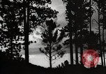 Image of Wildlife and nature and its destruction United States USA, 1925, second 34 stock footage video 65675025585
