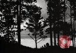 Image of Wildlife and nature and its destruction United States USA, 1925, second 35 stock footage video 65675025585