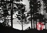 Image of Wildlife and nature and its destruction United States USA, 1925, second 36 stock footage video 65675025585