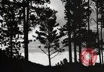 Image of Wildlife and nature and its destruction United States USA, 1925, second 37 stock footage video 65675025585