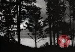 Image of Wildlife and nature and its destruction United States USA, 1925, second 38 stock footage video 65675025585