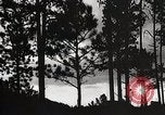 Image of Wildlife and nature and its destruction United States USA, 1925, second 41 stock footage video 65675025585
