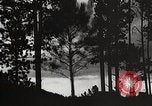 Image of Wildlife and nature and its destruction United States USA, 1925, second 44 stock footage video 65675025585