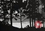 Image of Wildlife and nature and its destruction United States USA, 1925, second 45 stock footage video 65675025585