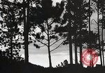 Image of Wildlife and nature and its destruction United States USA, 1925, second 46 stock footage video 65675025585