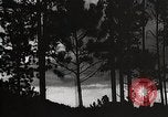 Image of Wildlife and nature and its destruction United States USA, 1925, second 48 stock footage video 65675025585