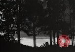 Image of Wildlife and nature and its destruction United States USA, 1925, second 49 stock footage video 65675025585
