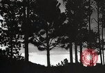 Image of Wildlife and nature and its destruction United States USA, 1925, second 52 stock footage video 65675025585