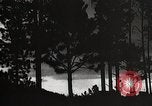 Image of Wildlife and nature and its destruction United States USA, 1925, second 55 stock footage video 65675025585