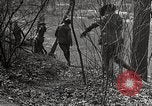 Image of Boy scouts United States USA, 1925, second 25 stock footage video 65675025586