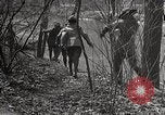 Image of Boy scouts United States USA, 1925, second 30 stock footage video 65675025586