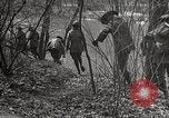 Image of Boy scouts United States USA, 1925, second 33 stock footage video 65675025586