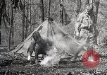 Image of Boy scouts United States USA, 1925, second 47 stock footage video 65675025586