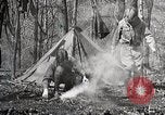 Image of Boy scouts United States USA, 1925, second 48 stock footage video 65675025586