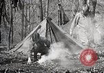 Image of Boy scouts United States USA, 1925, second 49 stock footage video 65675025586