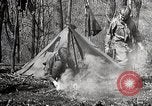 Image of Boy scouts United States USA, 1925, second 50 stock footage video 65675025586