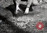Image of Boy scouts United States USA, 1925, second 54 stock footage video 65675025586