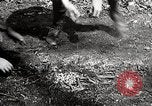 Image of Boy scouts United States USA, 1925, second 56 stock footage video 65675025586