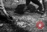 Image of Boy scouts United States USA, 1925, second 57 stock footage video 65675025586