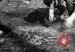 Image of Boy scouts United States USA, 1925, second 58 stock footage video 65675025586