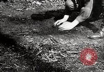 Image of Boy scouts United States USA, 1925, second 59 stock footage video 65675025586
