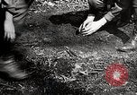 Image of Boy scouts United States USA, 1925, second 60 stock footage video 65675025586