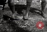 Image of Boy scouts United States USA, 1925, second 62 stock footage video 65675025586