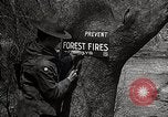 Image of Boy Scouts United States USA, 1925, second 9 stock footage video 65675025587