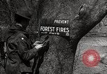 Image of Boy Scouts United States USA, 1925, second 12 stock footage video 65675025587
