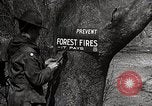 Image of Boy Scouts United States USA, 1925, second 13 stock footage video 65675025587