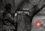 Image of Boy Scouts United States USA, 1925, second 14 stock footage video 65675025587