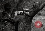 Image of Boy Scouts United States USA, 1925, second 15 stock footage video 65675025587