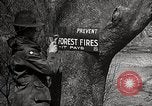 Image of Boy Scouts United States USA, 1925, second 16 stock footage video 65675025587