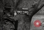 Image of Boy Scouts United States USA, 1925, second 17 stock footage video 65675025587