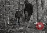 Image of Boy Scouts United States USA, 1925, second 35 stock footage video 65675025587