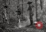 Image of Boy Scouts United States USA, 1925, second 44 stock footage video 65675025587