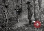 Image of Boy Scouts United States USA, 1925, second 45 stock footage video 65675025587
