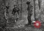 Image of Boy Scouts United States USA, 1925, second 46 stock footage video 65675025587