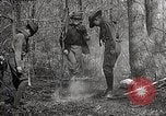 Image of Boy Scouts United States USA, 1925, second 47 stock footage video 65675025587