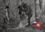 Image of Boy Scouts United States USA, 1925, second 48 stock footage video 65675025587