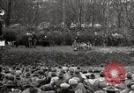 Image of Boy Scouts of America fire safety skit Washington DC USA, 1925, second 9 stock footage video 65675025589
