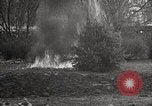 Image of Boy Scouts of America fire safety skit Washington DC USA, 1925, second 53 stock footage video 65675025589