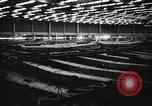 Image Usine de bombardiers Ford à Willow Run Michigan United States USA, 1942, de la seconde 61 séquences d'archives historiques vidéo 65675025611